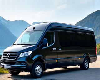 A comfortable, modern tour van against a scenic Swiss backdrop.